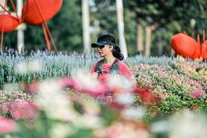 BIB: 
                            <button type="button" onclick="openModal(25933660)" class="btn btn-primary btn-sm float-right btn-popup" data-toggle="modal" data-target=".modal-high-quality">
                        <i class="fas fa-shopping-cart"></i> Add to Cart
                    </button>
                                            <button type="button" onclick="isThisMe(25933660, true)" class="btn btn-success btn-sm float-right btn-popup btn-isme hidden" data-toggle="tooltip" data-placement="bottom" title="นี่คือรูปของคุณใช่ไหม คลิกที่นี่เพื่อเอาเข้าอัลบั้ม">
                        <i class="fas fa-plus"></i> Add to album
                    </button>
                    <button type="button" onclick="isThisMe(25933660, false)" class="btn btn-warning btn-sm float-right btn-popup btn-isnotme hidden">
                        <i class="fas fa-ban"></i> Remove from album
                    </button>